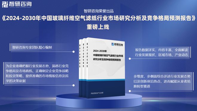 2024版中国玻璃纤维空气滤纸行业市场竞