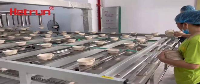 IPFM2024国际植物纤维纸浆模塑佛山展纸浆模塑表面喷涂改进(图4)