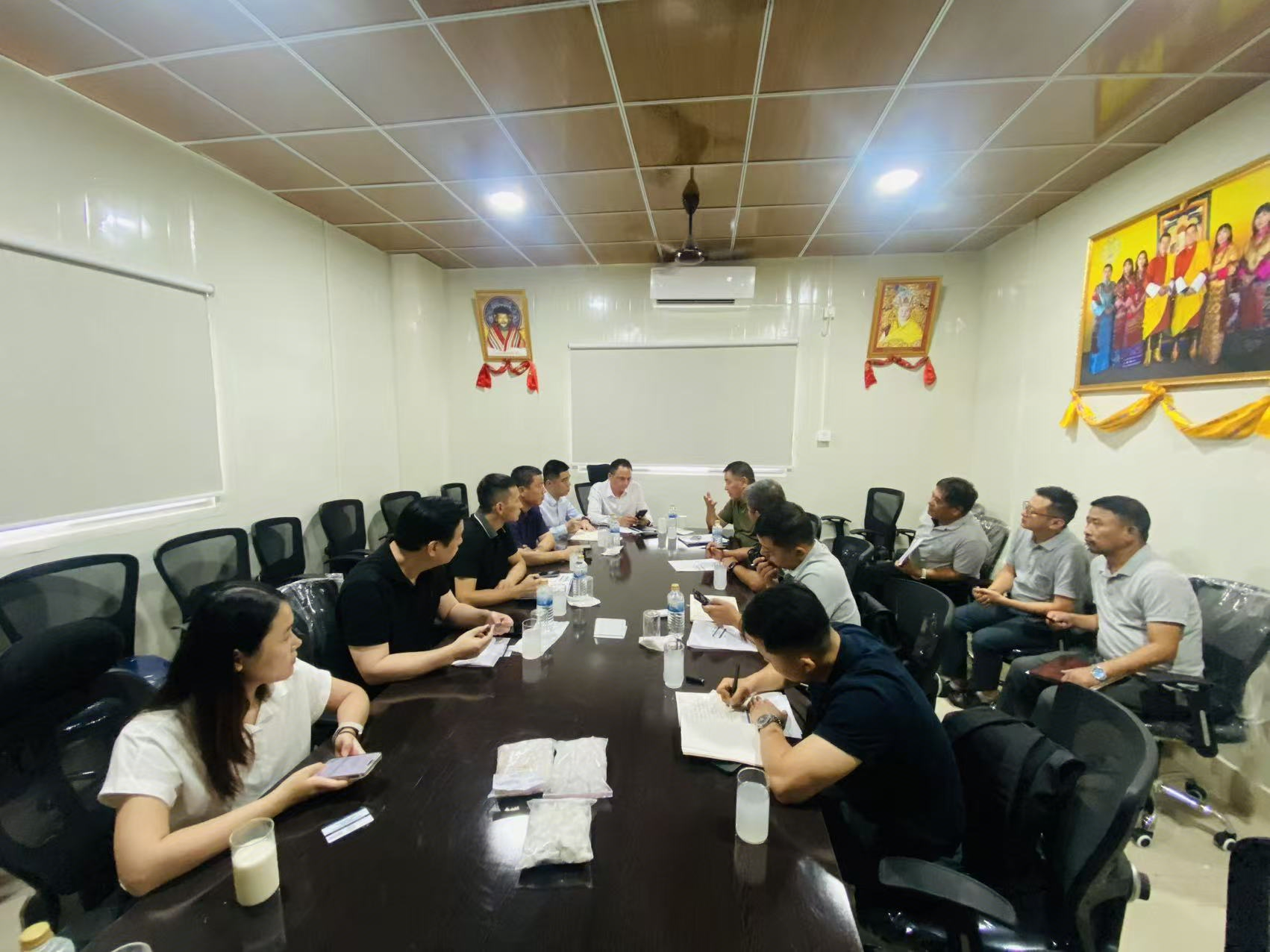 Mysteel调研：2025年不丹硅铁企