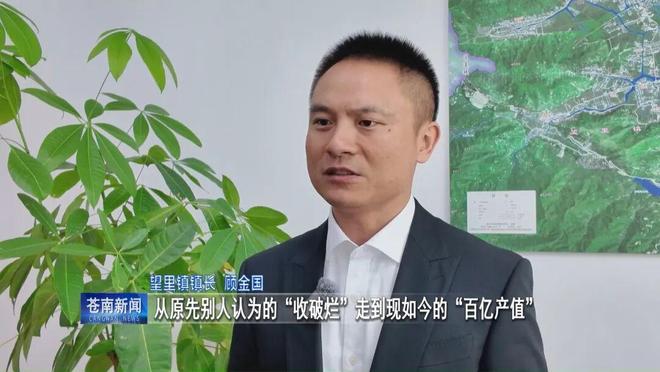 温州第一！苍南大蝶变！(图4)